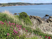 4th Jun 2021 - Cornish Coast