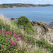 Cornish Coast by mumswaby
