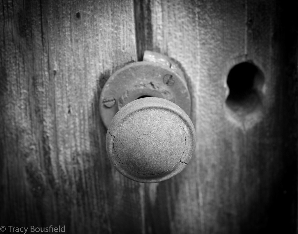 Door handle by tracybeautychick