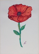 4th Jun 2021 - Watercolour Poppy