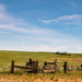 Central WA fields by theredcamera