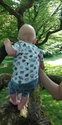 4th Jun 2021 - Climbing a tree