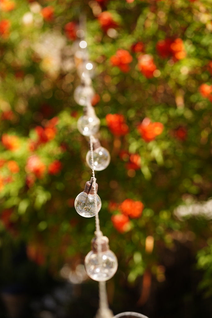 Light bulbs on string by acolyte