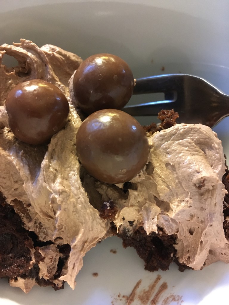 chocolate malt brownies by wiesnerbeth