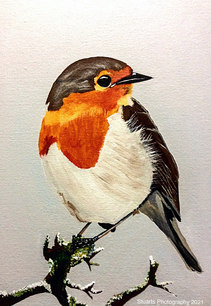 Robin redbreast (painting) by stuart46