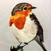 Robin redbreast (painting) by stuart46