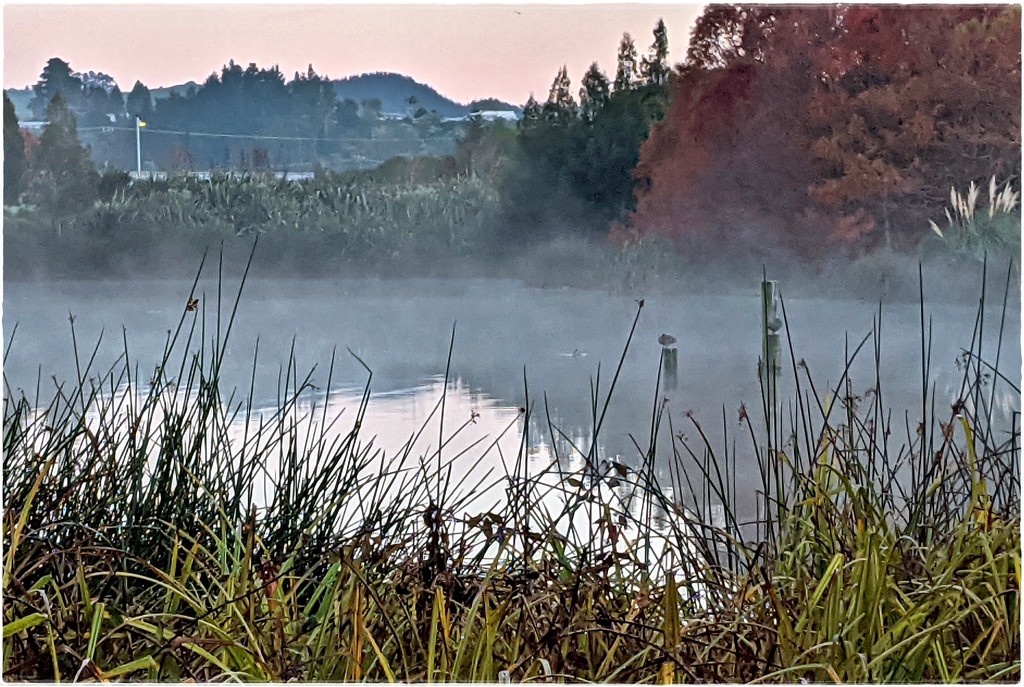 The lakes early morning by sandradavies