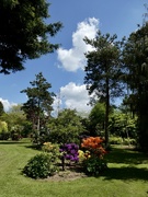 5th Jun 2021 - Bluebell Arboretum