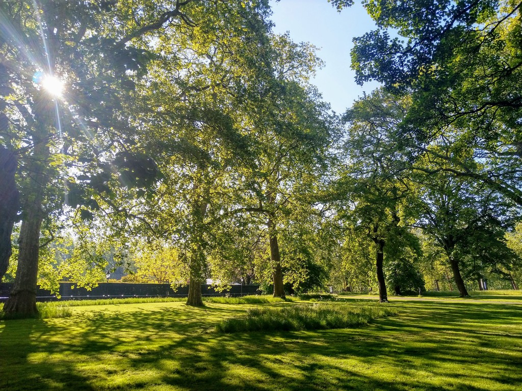 Morning in Green Park by boxplayer