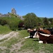 Cowfe Cowstle  by 30pics4jackiesdiamond