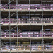 Scaffolding by pcoulson