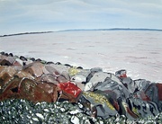 6th Jun 2021 - On the rocks (painting)