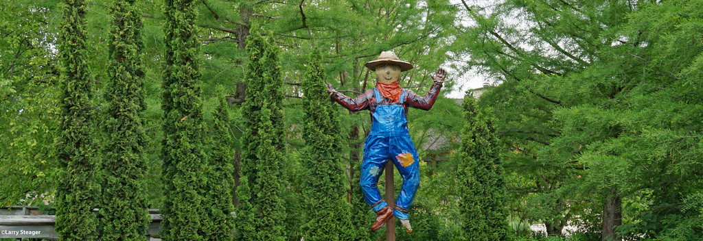 Children's Garden scarecrow by larrysphotos