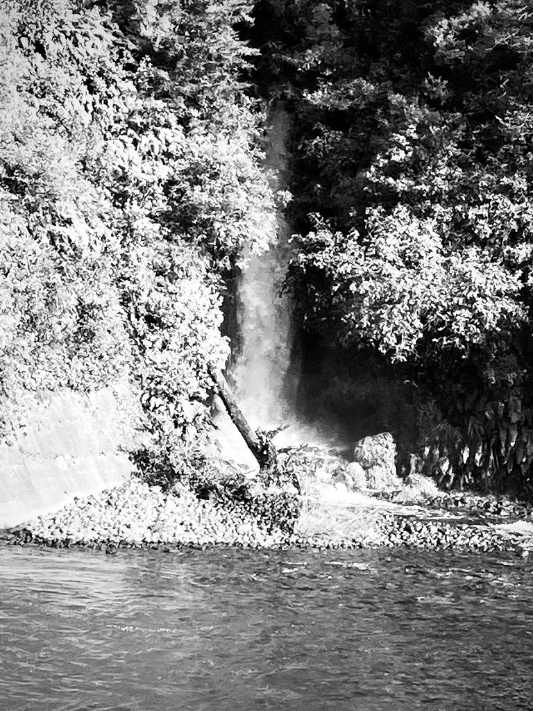 Falls on Tongariro River B & W for Mrs Laloggie by Dawn