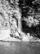 7th Jun 2021 - Falls on Tongariro River B & W for Mrs Laloggie