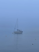 7th Jun 2021 - Foggy Morn