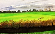8th Jun 2021 - The fields (painting)