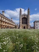 8th Jun 2021 - King's College Chapel Cambridge