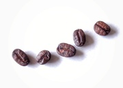 8th Jun 2021 - Coffee Beans 