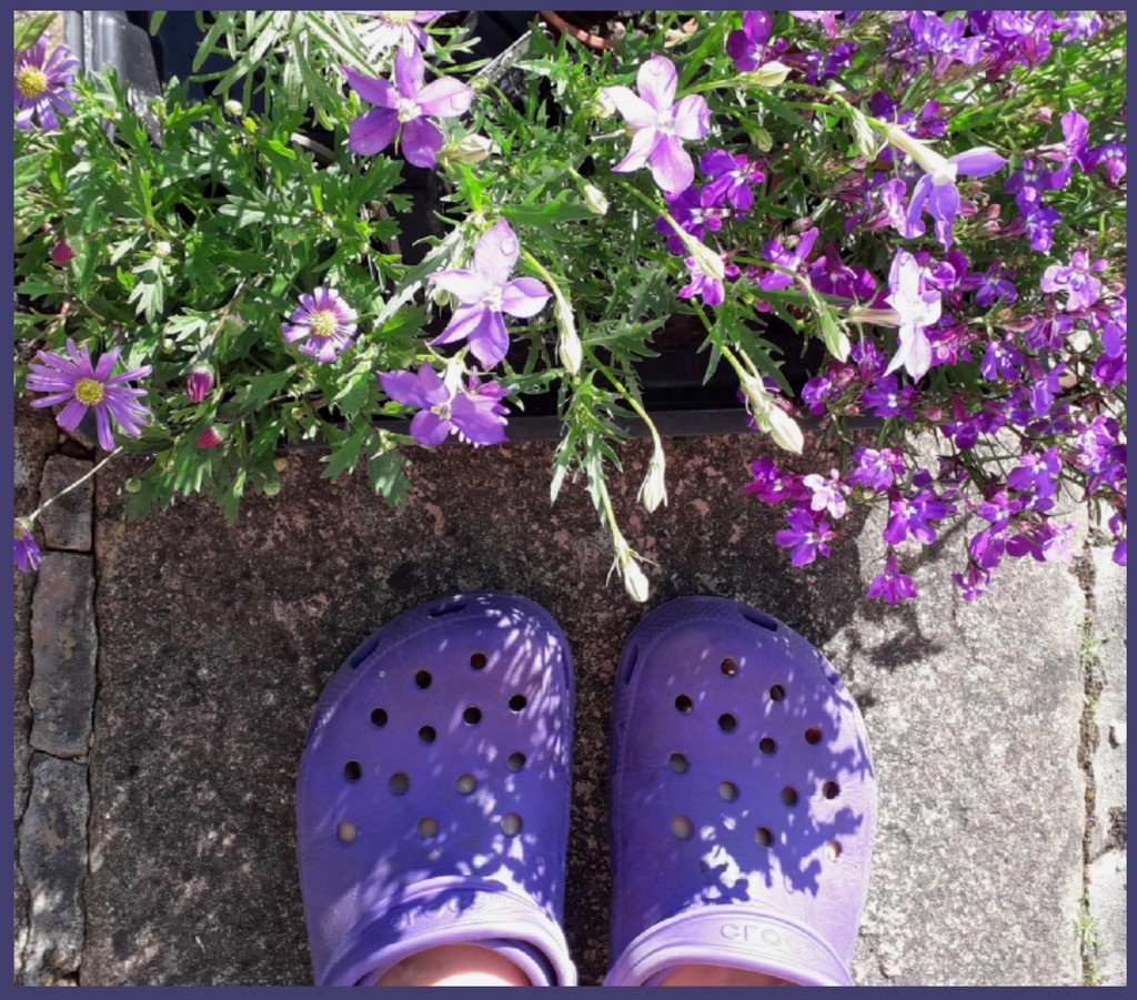 Ready to plant purple.  by jokristina