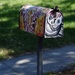 Mailbox by acolyte