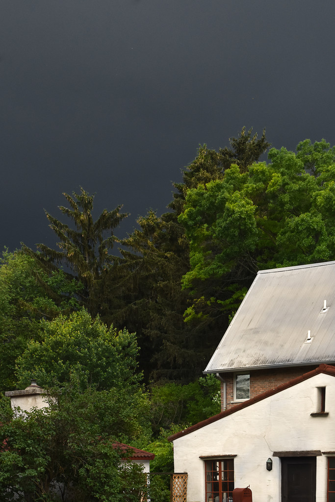 Oops.... I think a storm is brewing....  by vera365