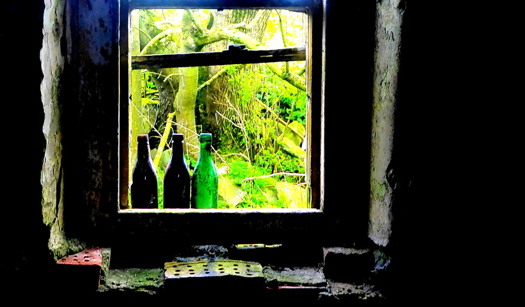 three bottles interior by steveandkerry