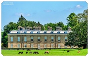 9th Jun 2021 - Althorp House And Deer