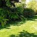 Garden in Early Summer  by g3xbm