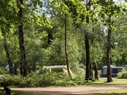 6th Jun 2021 - Camping in the New Forest