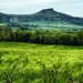 Fields of barley by craftymeg