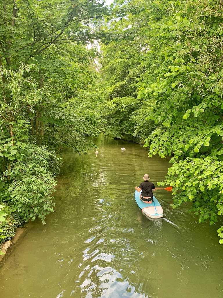 Kayak in the green.  by cocobella
