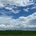 Indiana corn and clouds by tunia