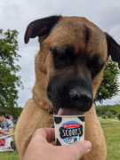 6th Jun 2021 - Doggy Ice Cream