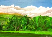10th Jun 2021 - Hills and valleys (painting)