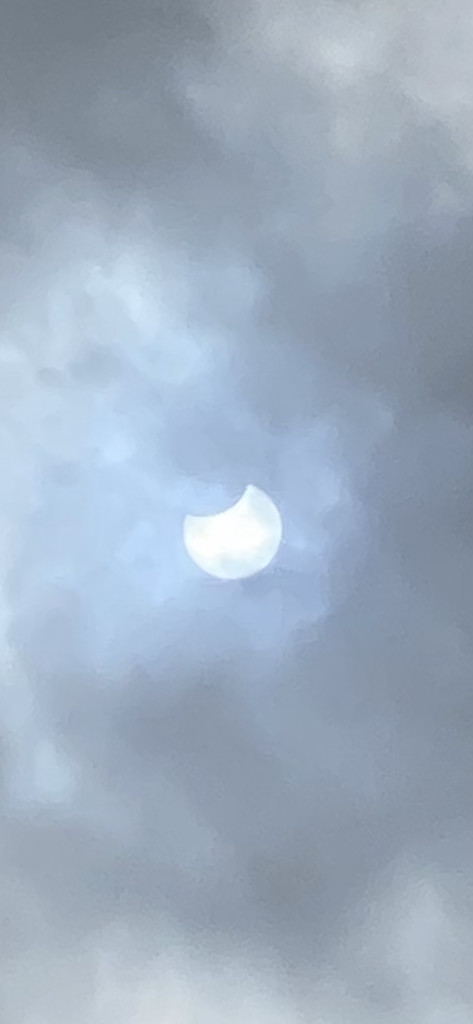 Annular Eclipse  by suemac