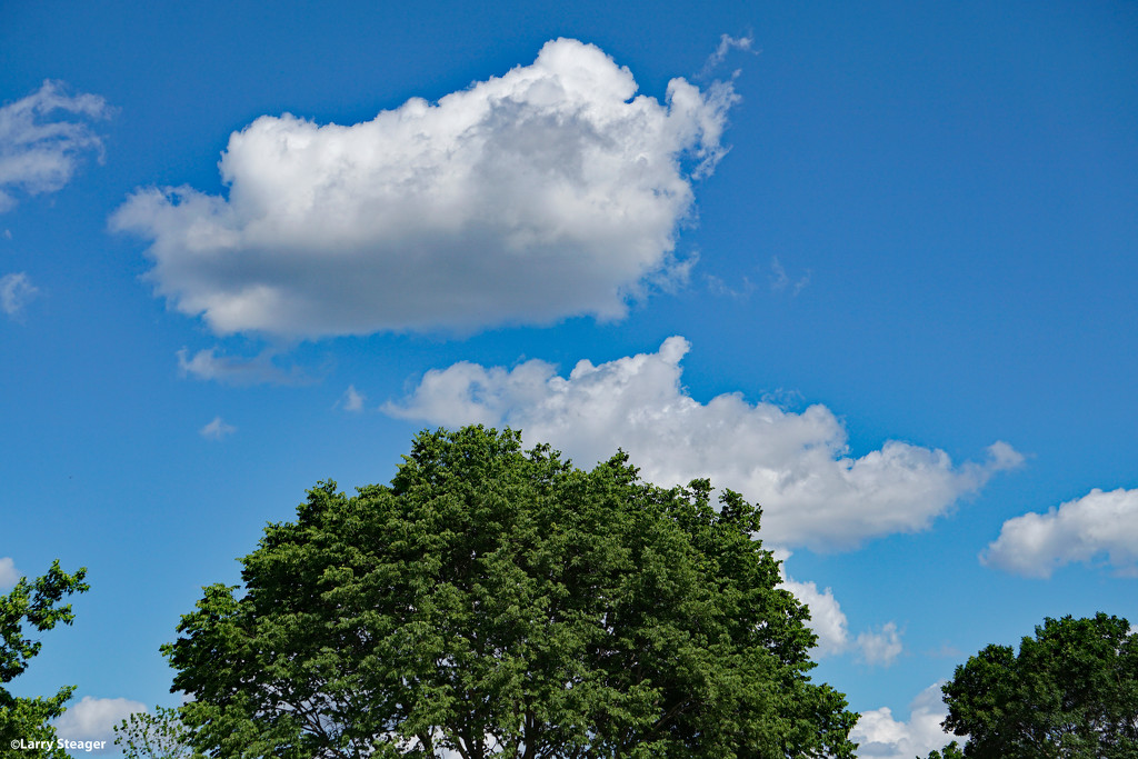 Hot afternoon sky by larrysphotos
