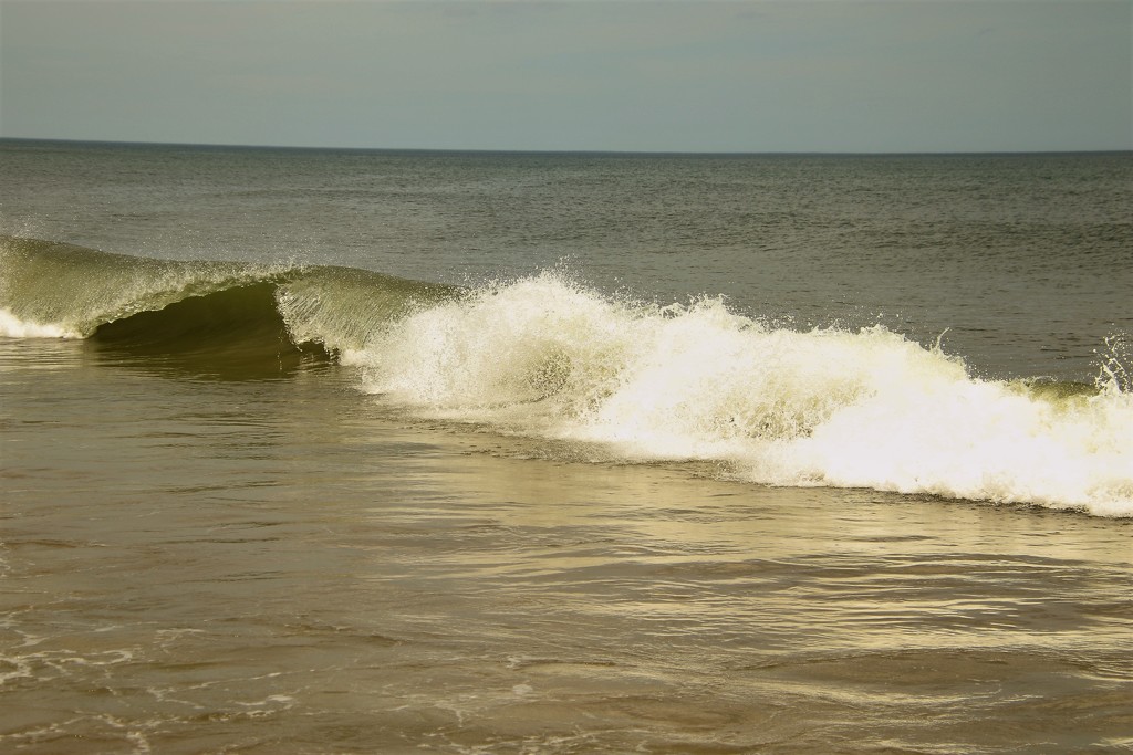 Crashing Waves by randy23