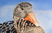 11th Jun 2021 - Mother Goose (painting)