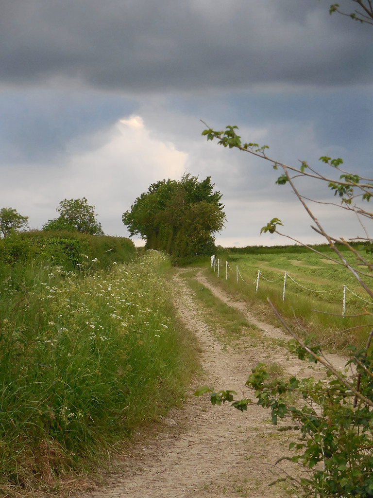 The footpath at the end of our lane by jon_lip