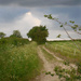 The footpath at the end of our lane by jon_lip