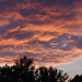 Sunset June 11 by ljmanning