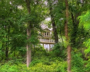11th Jun 2021 - The House in the Woods