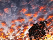 12th Jun 2021 - Outback skies