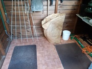 12th Jun 2021 - Shed Cleaning 