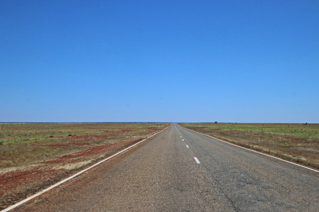 Day 4 - Barkly Tableland by terryliv