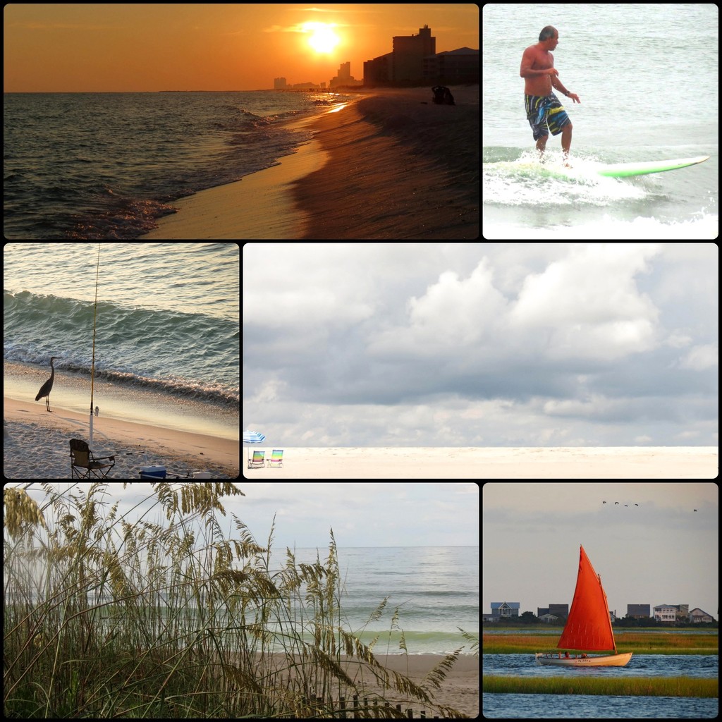 Some Beach Pictures In A Collage by grammyn