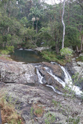 30th Apr 2021 - Cedar Creek Falls, Mount Tambourine National Park