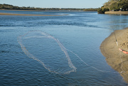 13th Jun 2021 - Cast net being thrown, Maroochy River