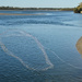 Cast net being thrown, Maroochy River by jeneurell